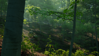 A procedurally generated landscape in Unreal Engine 5