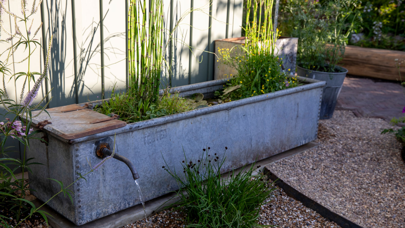 rectangular micropond in galvanised cattle trough with planting