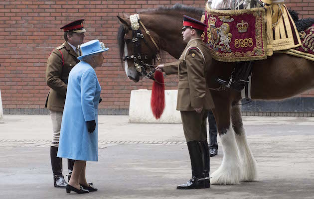 Perseus big red army drum horse