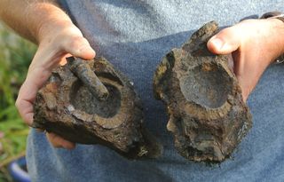 The ancient and encrusted hand grenade washed up from a 17th-century shipwreck filled with military stores.