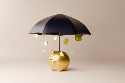 golden piggy bank under an umbrella