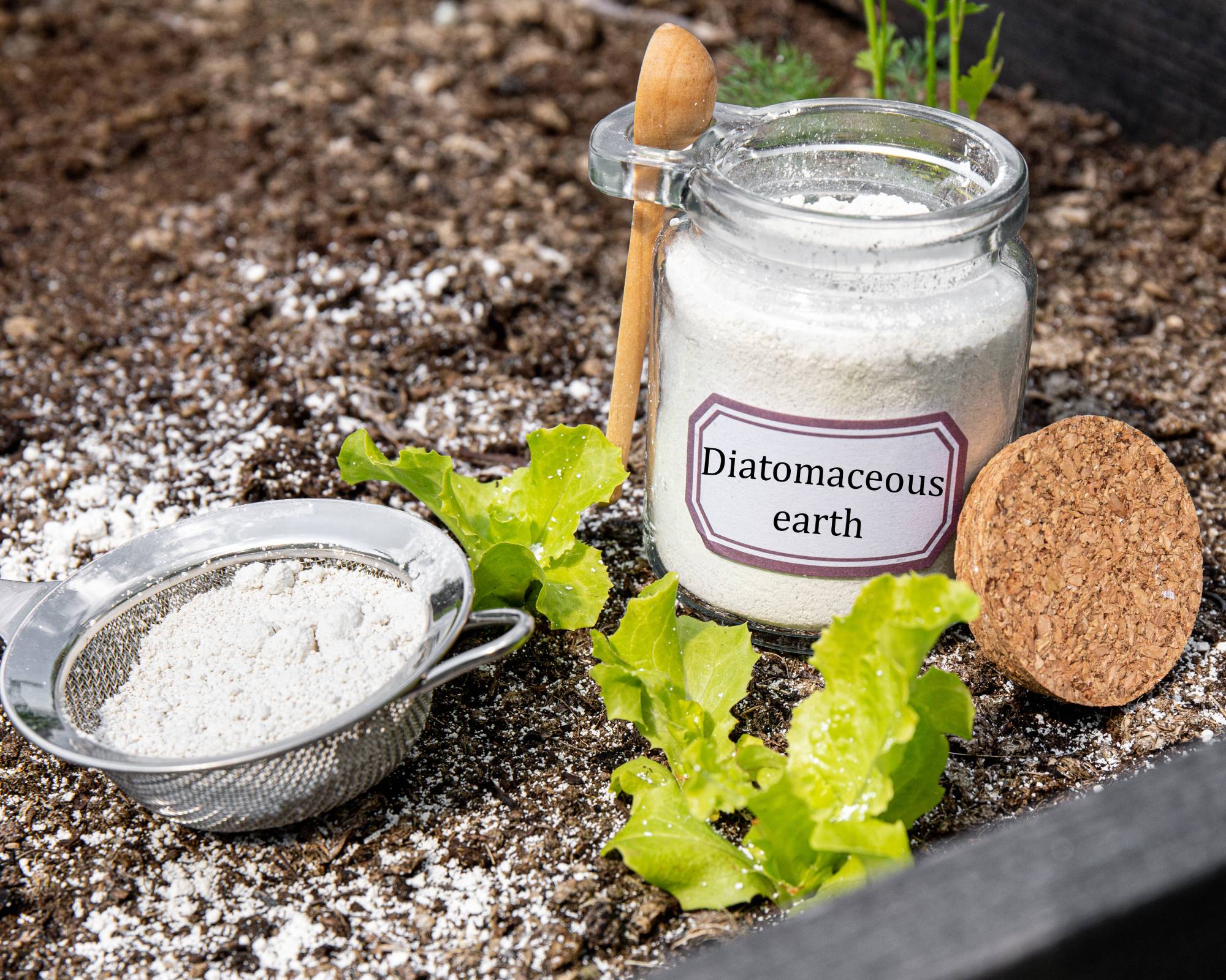 Diatomaceous earth for pest control