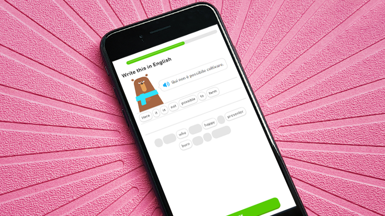Duolingo On Iphone Se