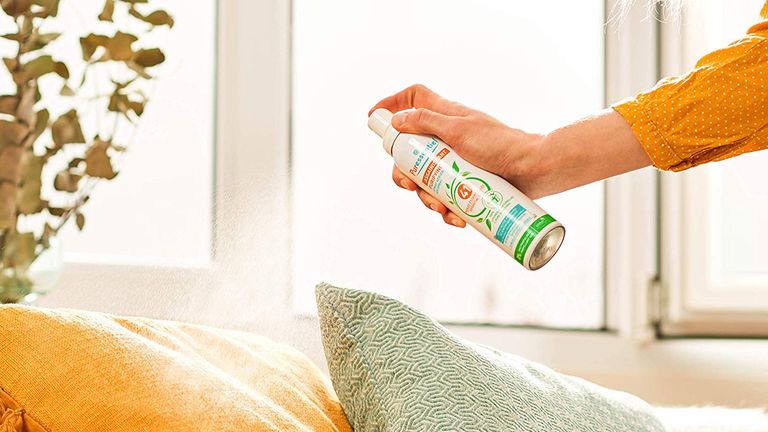 Best Air Freshener 16 Products To Freshen Up And Purify The Air