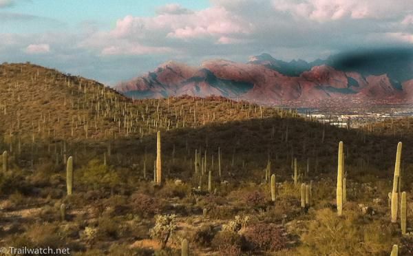 Sunrise in the desert