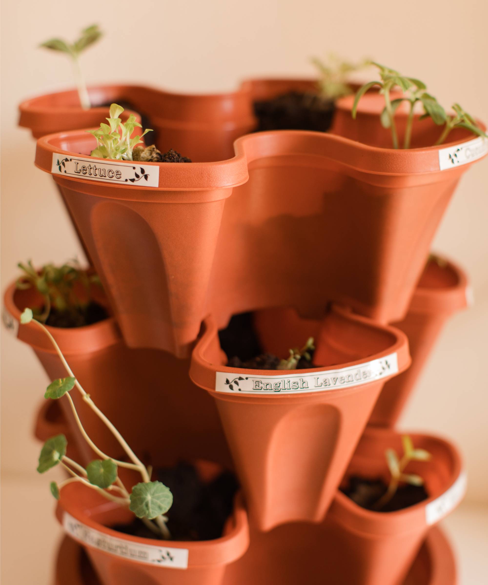 Stacked planters with herbs