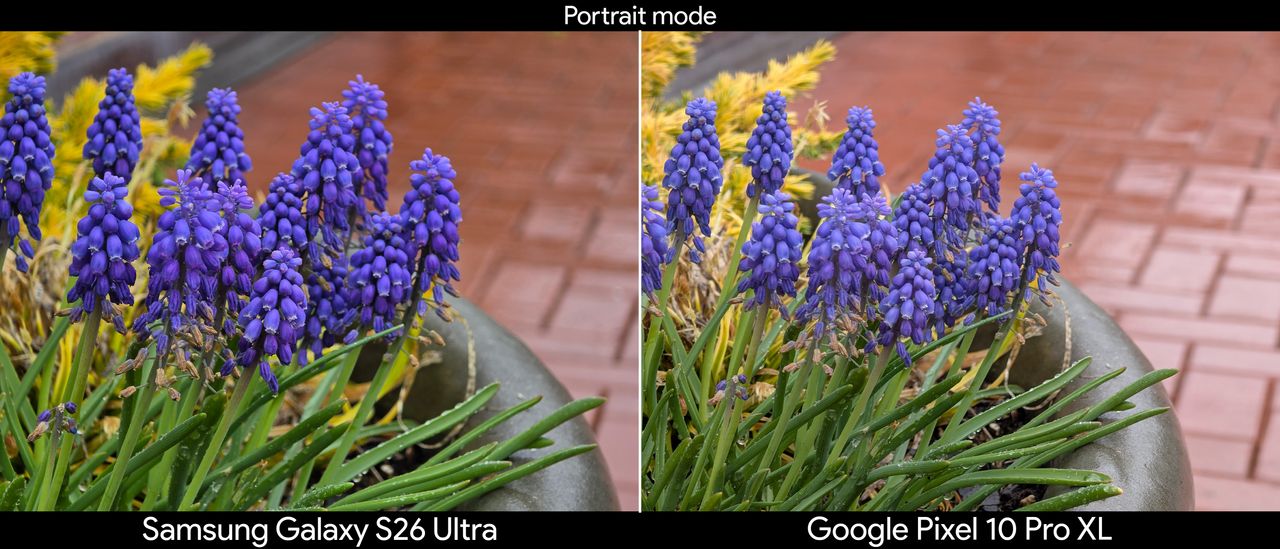Samsung Galaxy S26 Ultra portrait camera samples