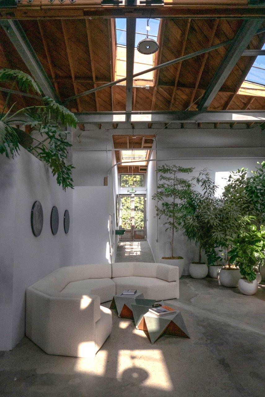 Houseplants in concrete pots