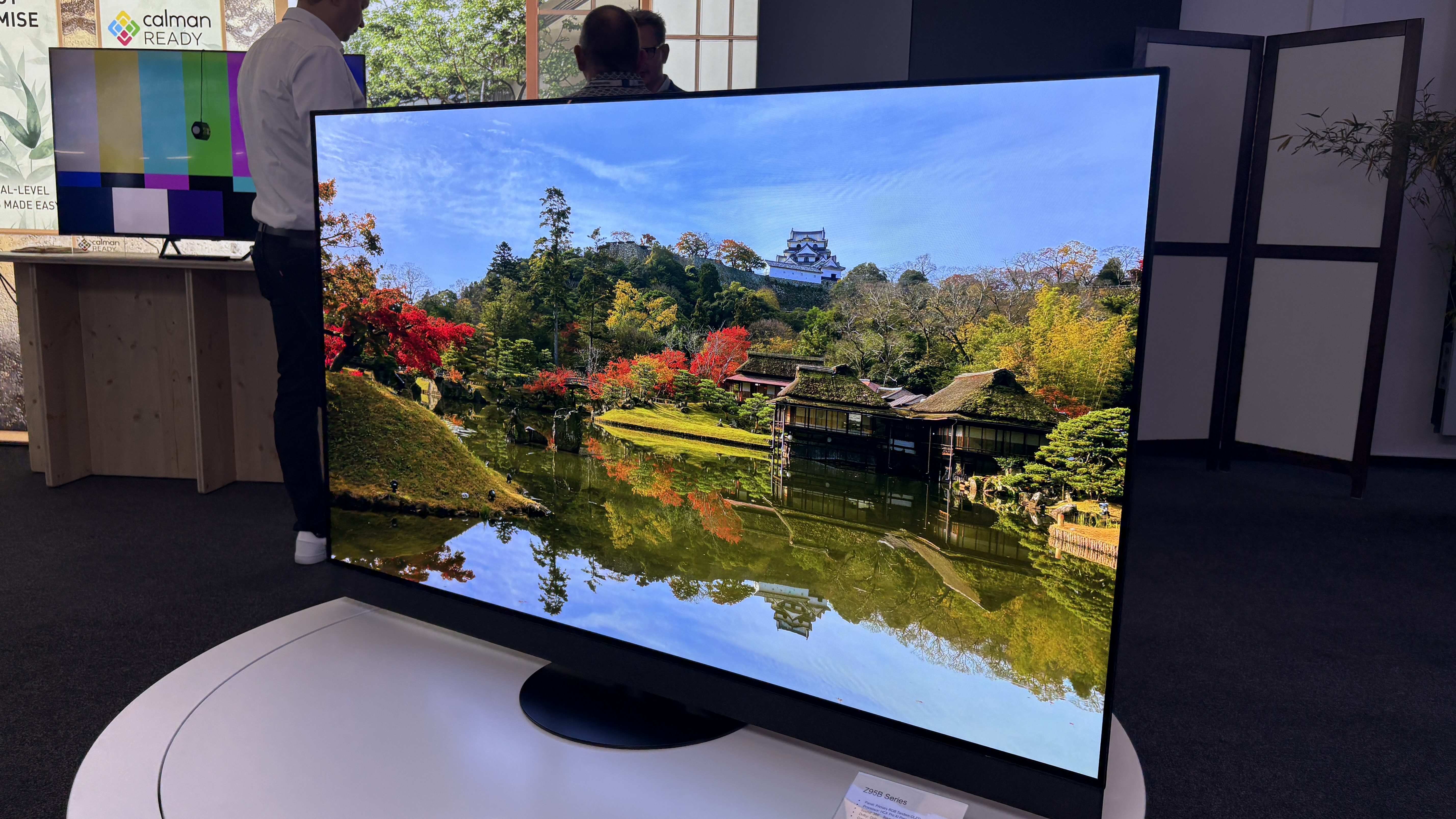 Panasonic Z95B on a rotating stand with a Japanese nature scene with temples on screen