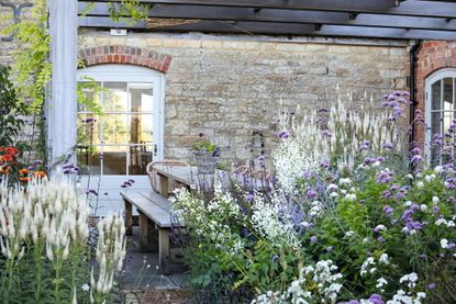 Planting under the new oak pergola has white spires of Veronicastrum virginicum ‘Album’ and purple Verbena bonariensis. Coates Barn, Warwickshire. ©Britt Willoughby Dyer