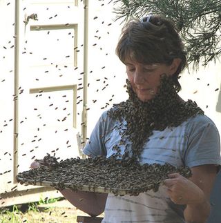 Preventing bees from buzzing off