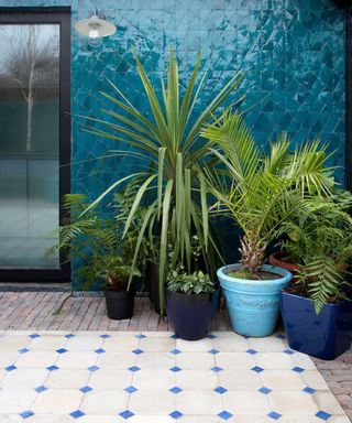 blue tiled outdoor wall by Kingston Lafferty Design