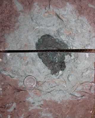 New kind of fossil meteorite
