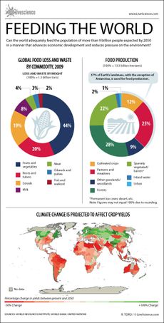 Infographic: Global food production in the 20th Century.