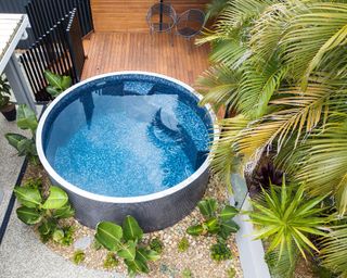 round pool by Brisbane Prestige Plunge Pools with tropical planting