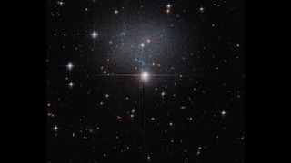 A bright central star stands out in a field of stars against the dark backdrop of space.