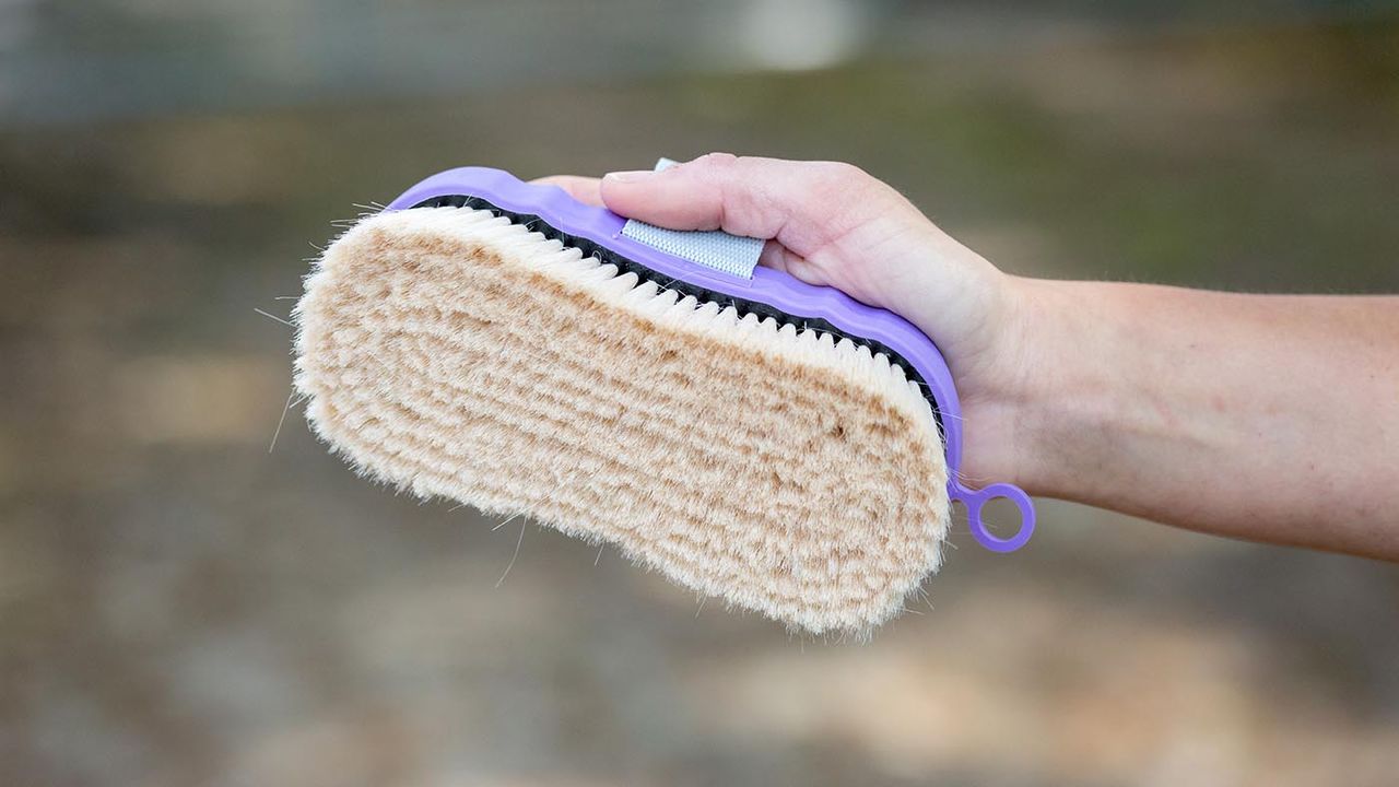 Shires Ezi-Groom Contour goat hair body brush review