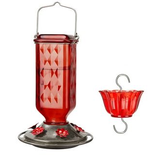 Kingsyard Glass Hummingbird Feeder for Outdoor Hanging