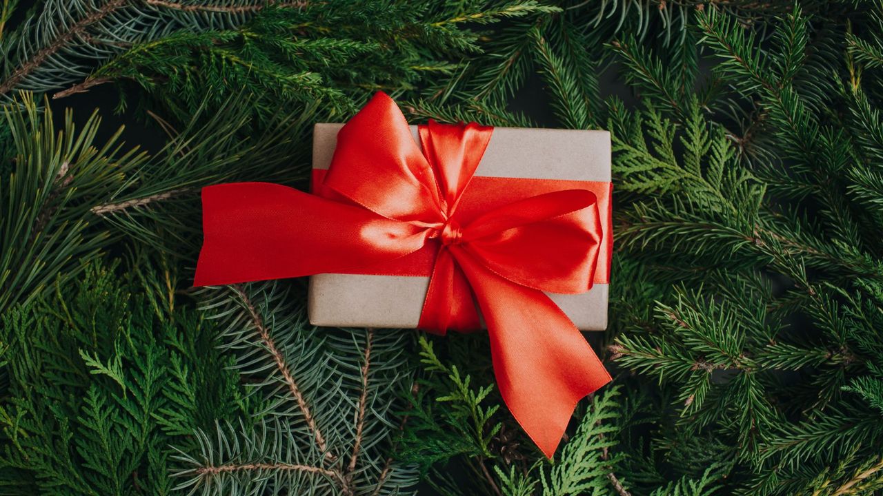 How to have a sustainable Christmas - a present in a red bow