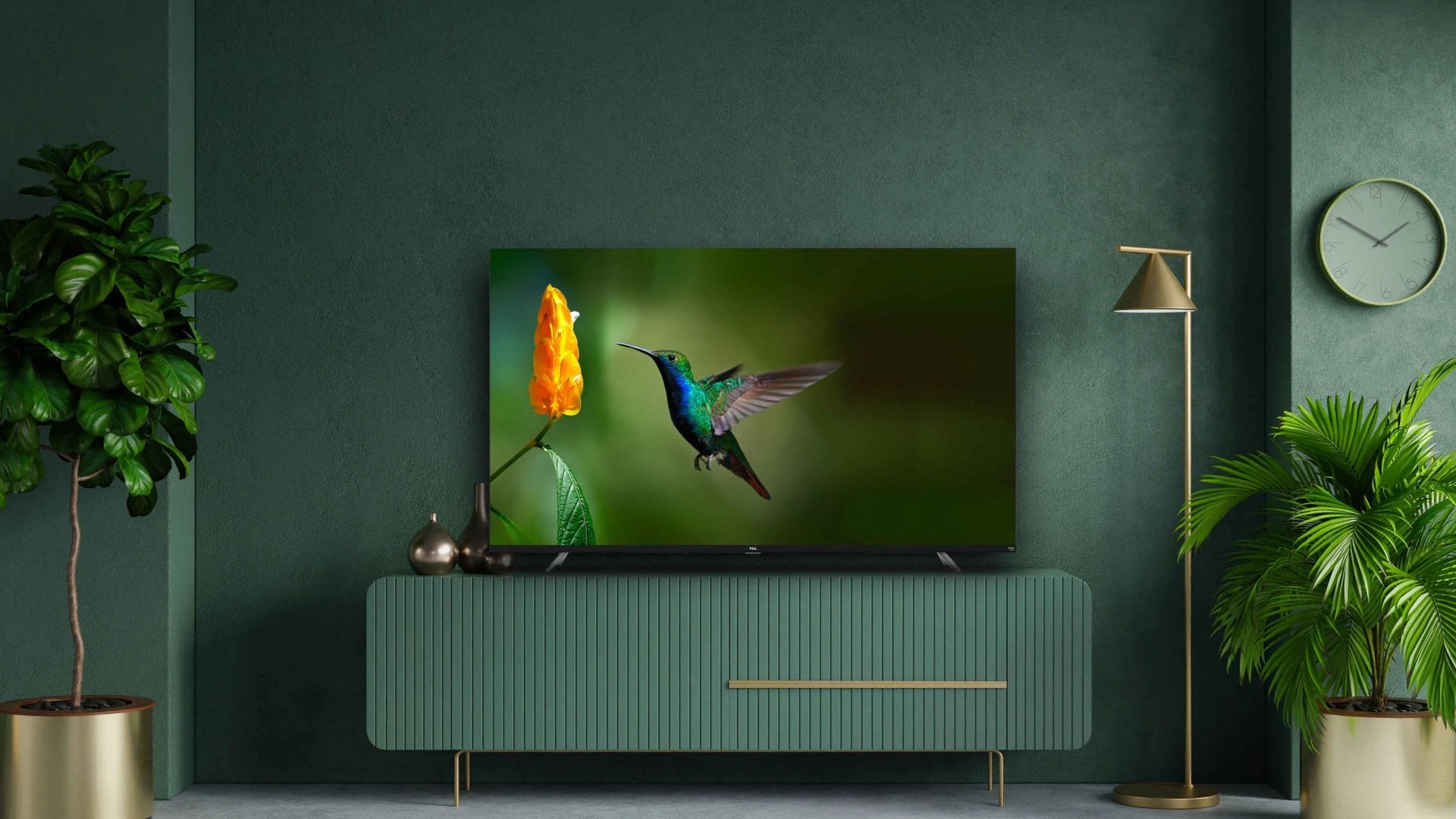 Hisense vs TCL Which Budget TV Brand Is Best? Livingetc
