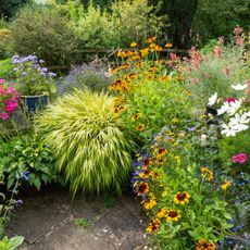 Vibrant flowers and green plants in a luscious garden