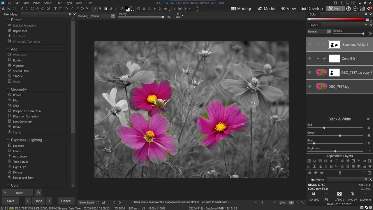 ACDSee software: image shows ACDSee edit mode