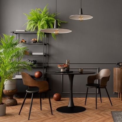 Houseplants in a room with dark gray walls