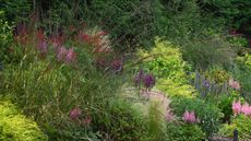 naturalistic mosaic planting design with perennials and ornamental grasses