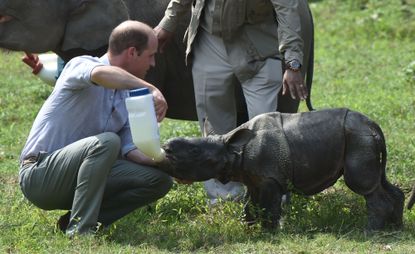 Prince William Baby Rhino