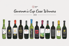 Virginia Governor's Case 2020