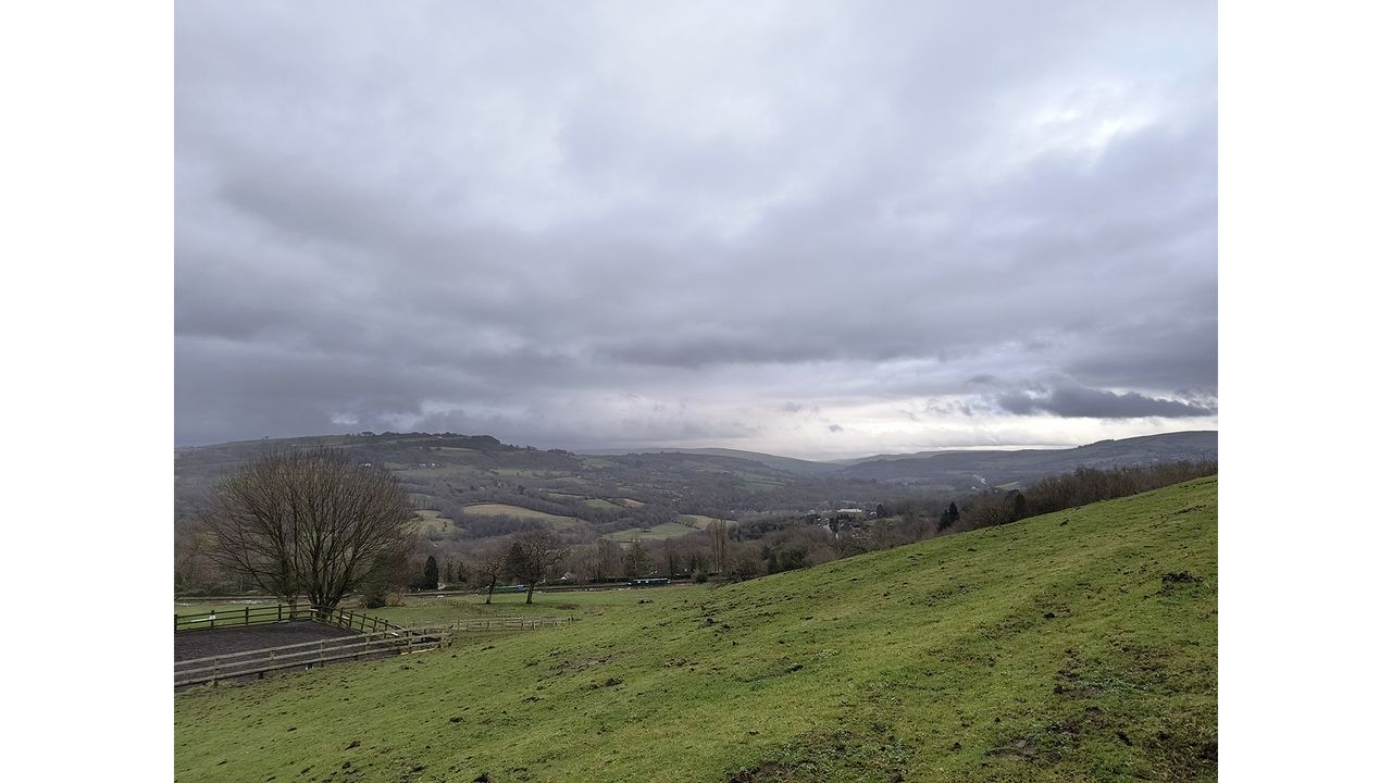 Motorola Edge 40 Neo camera sample