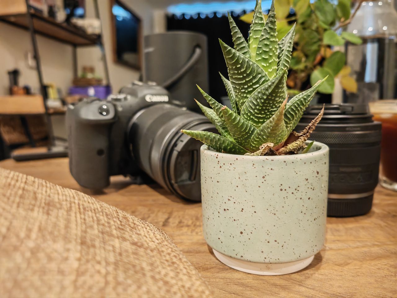 Photos taken on the Honor Magic 4 Pro