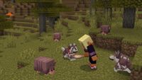 Image of Armadillos n' Wolf Armor up in Minecraft.