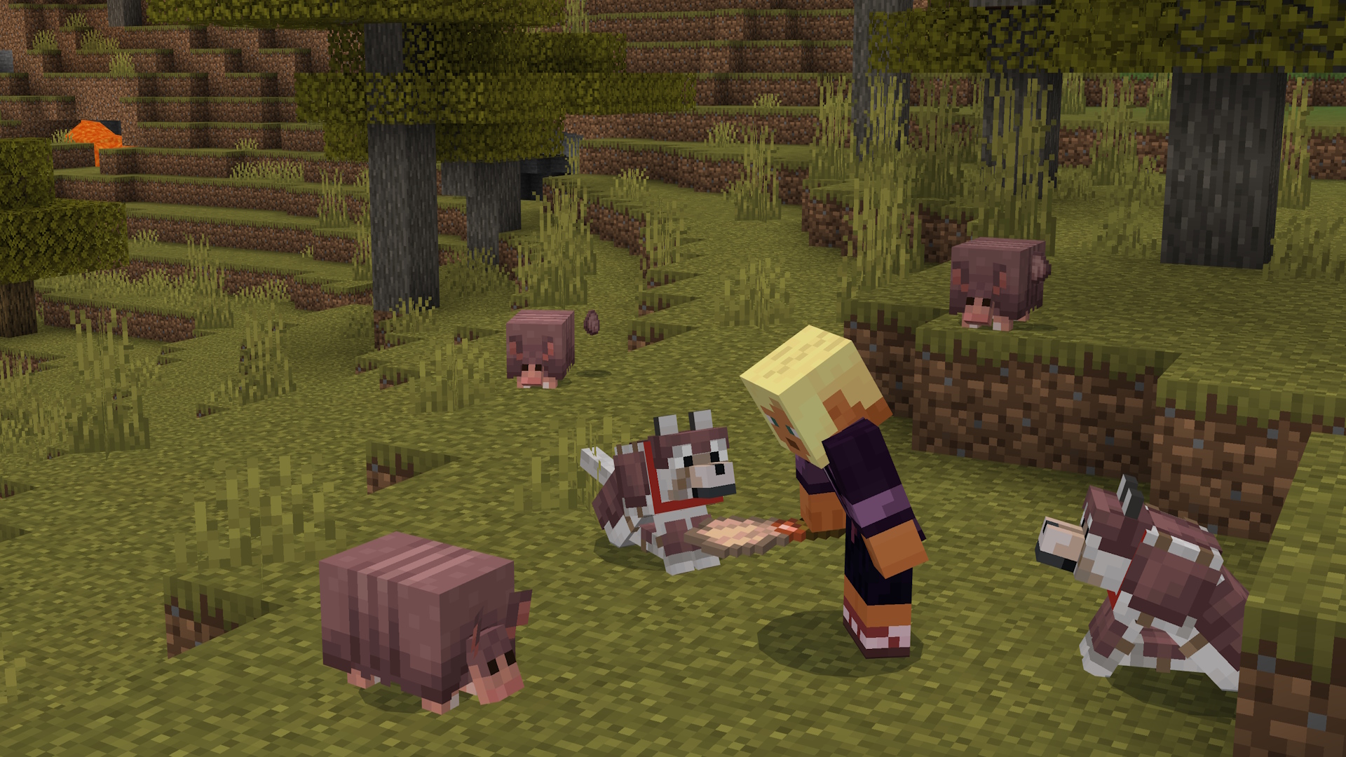 Image of Armadillos and Wolf Armor in Minecraft.