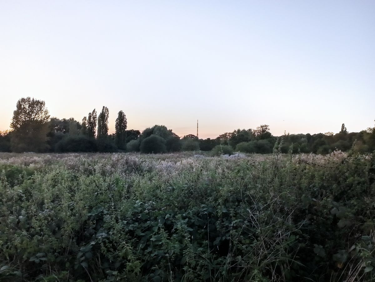 A Redmi 10 camera sample showing a field at 2x zoom