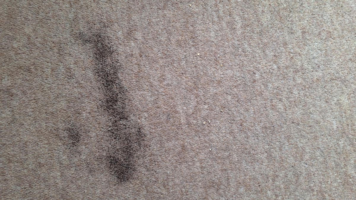 Carpeted floor with remnants of tea after one pass with Roborock Q7 M5 vacuum