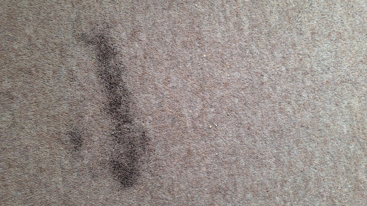 Carpeted floor with remnants of tea after one pass with Roborock Q7 M5 vacuum
