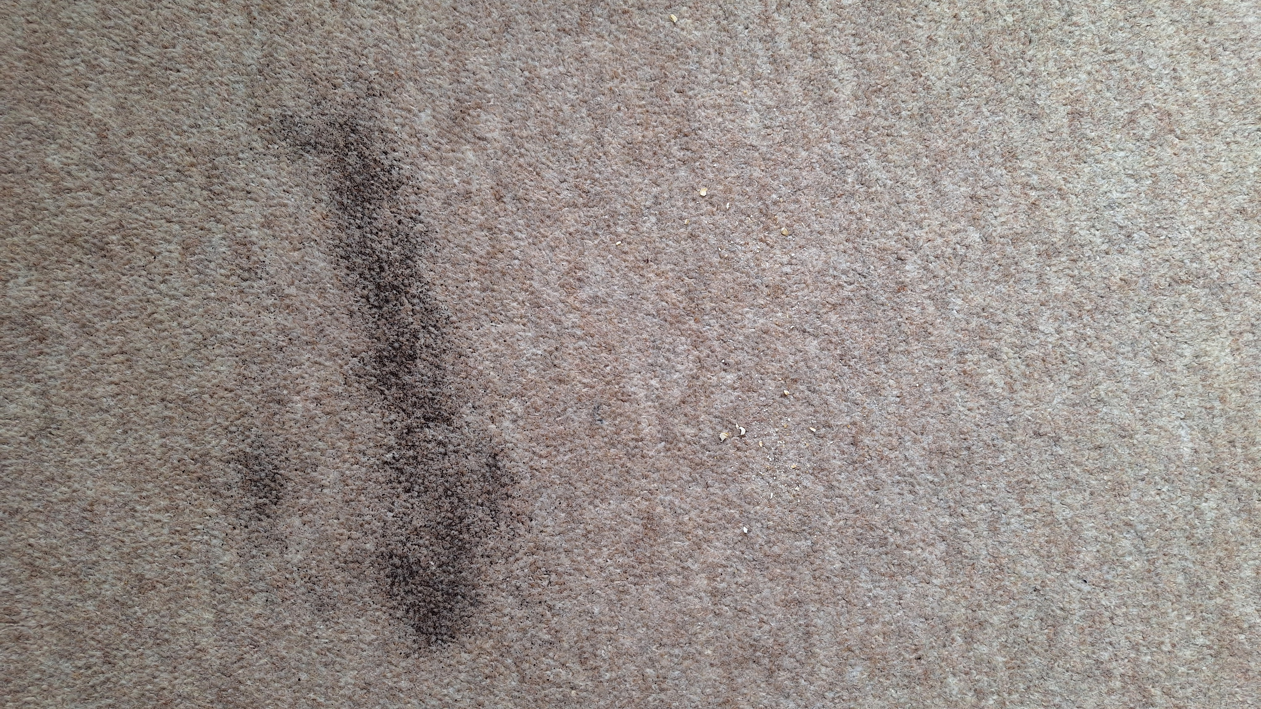 Carpeted floor with remnants of tea after one pass with Roborock Q7 M5 vacuum