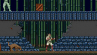   The Revenge of Shinobi