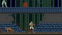   The Revenge of Shinobi