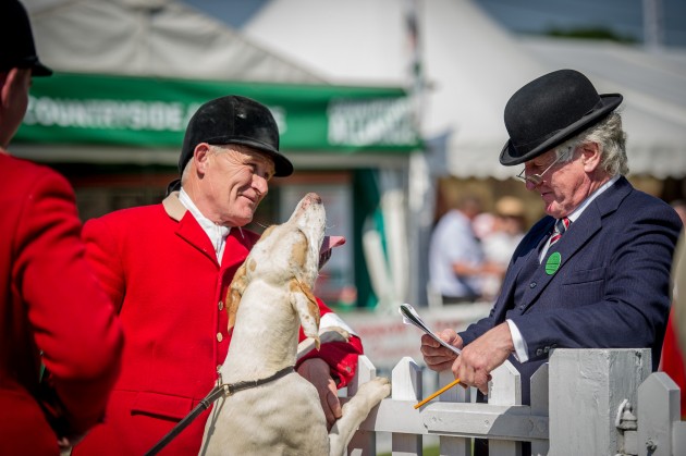 Ardingly-Foxhounds-2015-117-e1435066003417.jpg