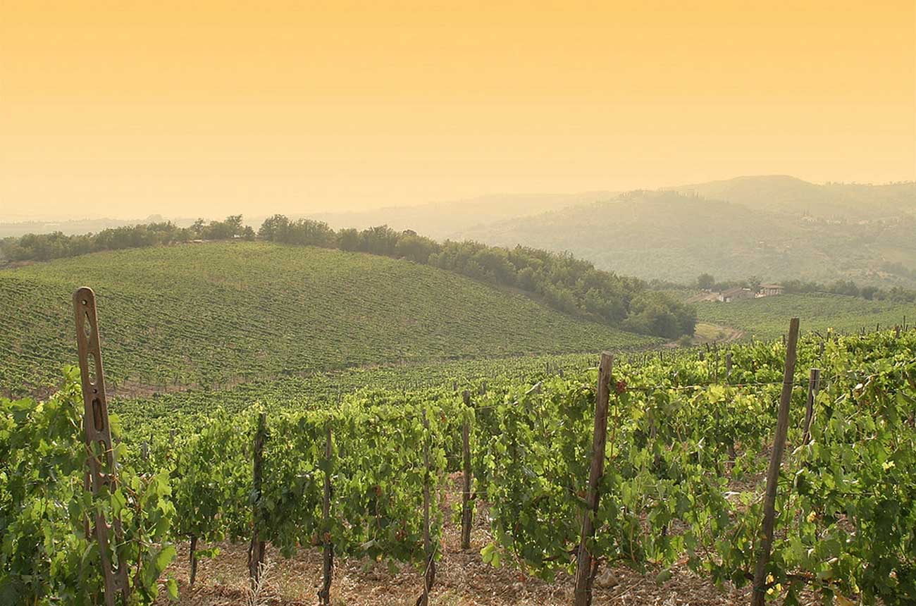 Chianti wine property listed for sale by Italy Sotheby's International Realty