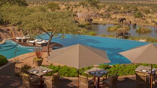 Pool at Four Seasons Safari Lodge Serengeti in Tanzania
