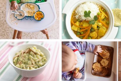 Baby-led weaning recipes illustrated by montage