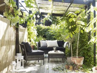 a covered black and glass pergola in a side return, with black and rattan garden furniture underneath, lots of growing plants, and white lanterns
