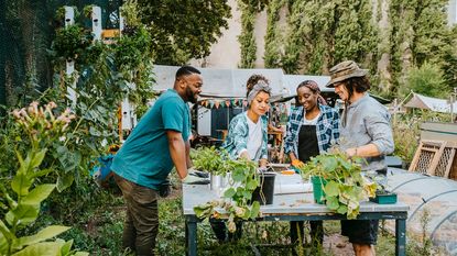 Four gardeners stand around a table of plants
