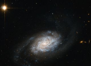 Spiral Galaxy NGC 3455