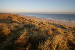 The dunes on a winter morning at Winterton-on-Sea, Norfolk, one of the spots picked out by our experts.