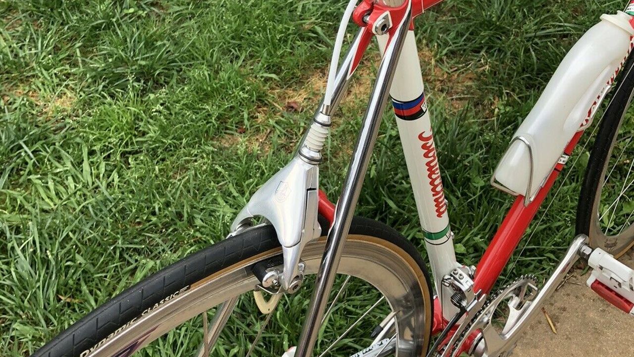 Bottecchia Equipe SLX ebay find