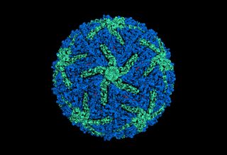 Cryo-electron microscopy produced this 3D image of the Zika virus.